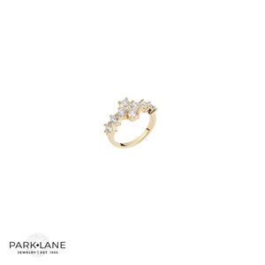Park Lane Gold and Silver Women's - CHOSEN - Ring Size 8